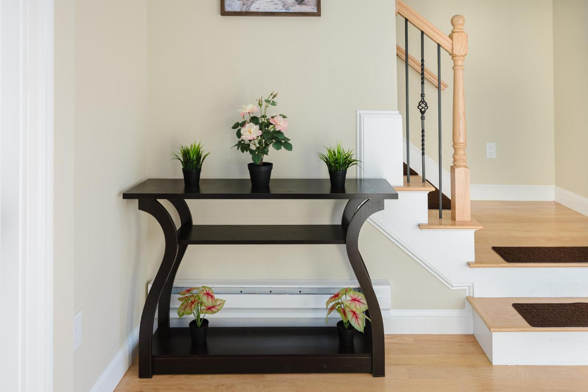 60-1 4br - Cozy New Near Franklin Park Boston